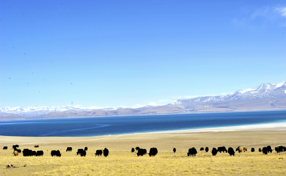 Lake Manasarovar